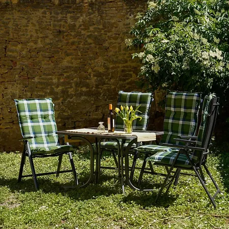 Appartement Am Stadtpark *