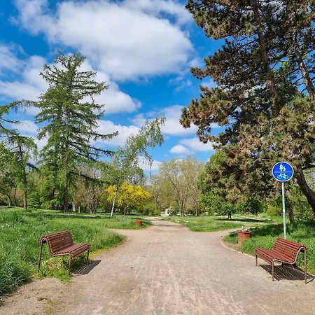 公寓 Am Stadtpark 萨勒河畔瑙姆堡