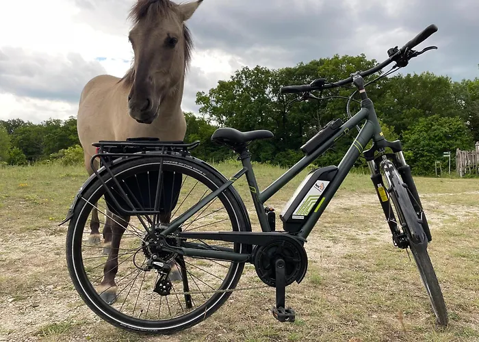 Am Stadtpark アパート